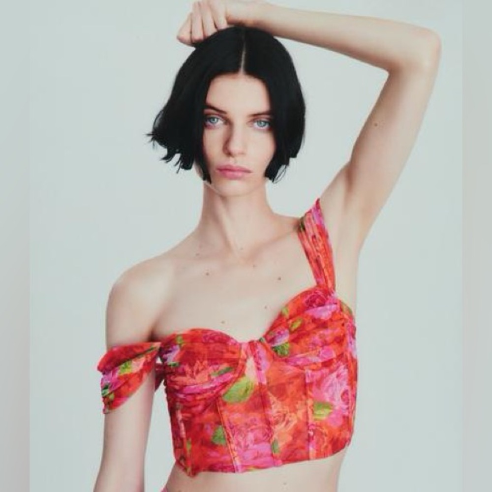 ZARA: TULLE CORSET STYLE TOP 
Floral Pink Women's Top Size Medium